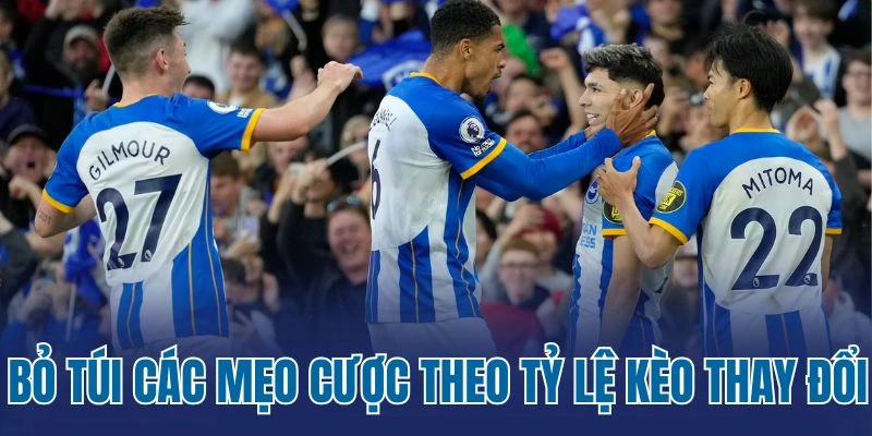 Bỏ túi các mẹo khi thấy tỷ lệ kèo thay đổi