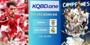 Nhận định soi kèo Benfica vs Real Madrid - Cup C1, 18/02/2026
