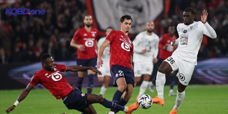 Thành tích qua các vòng đấu của Crvena zvezda vs Lille 